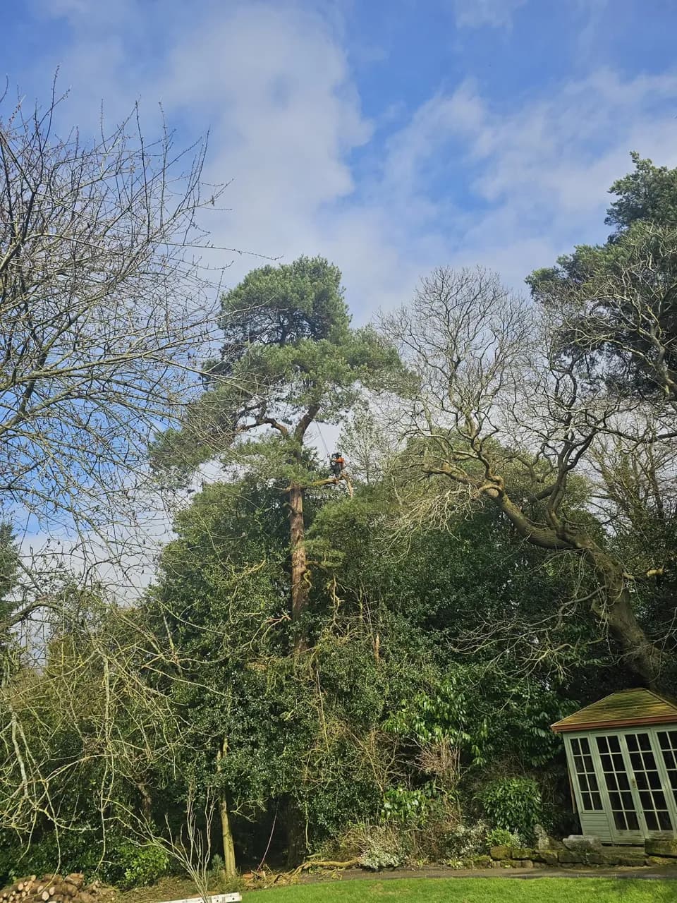 Recent gardening or tree work completed by Chris Gardening Services in Birmingham