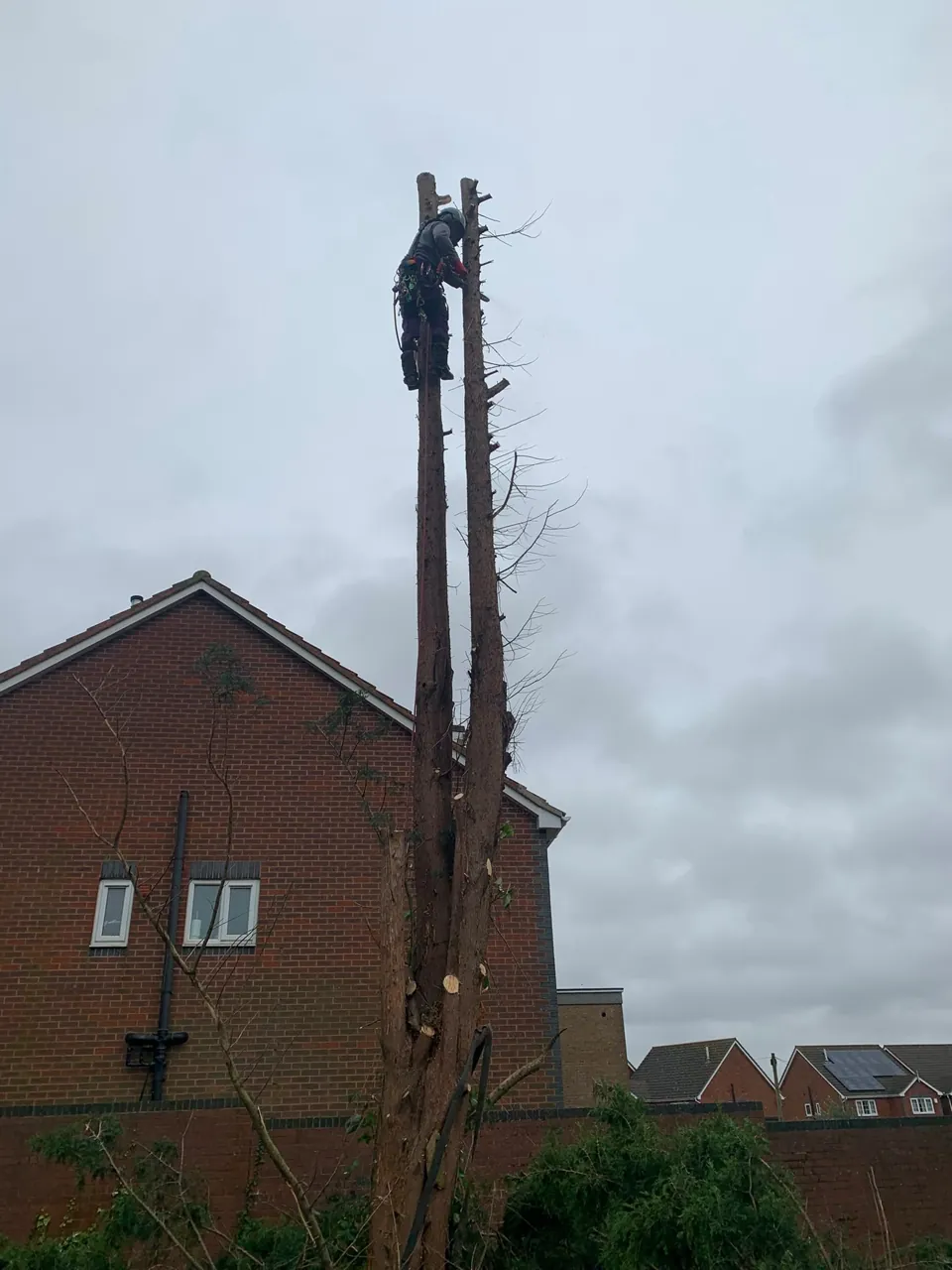 Recent job
